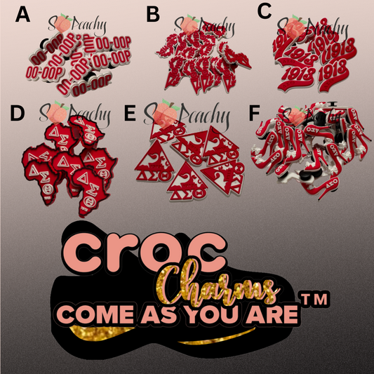 Croc Charms D9 SZN 🤍